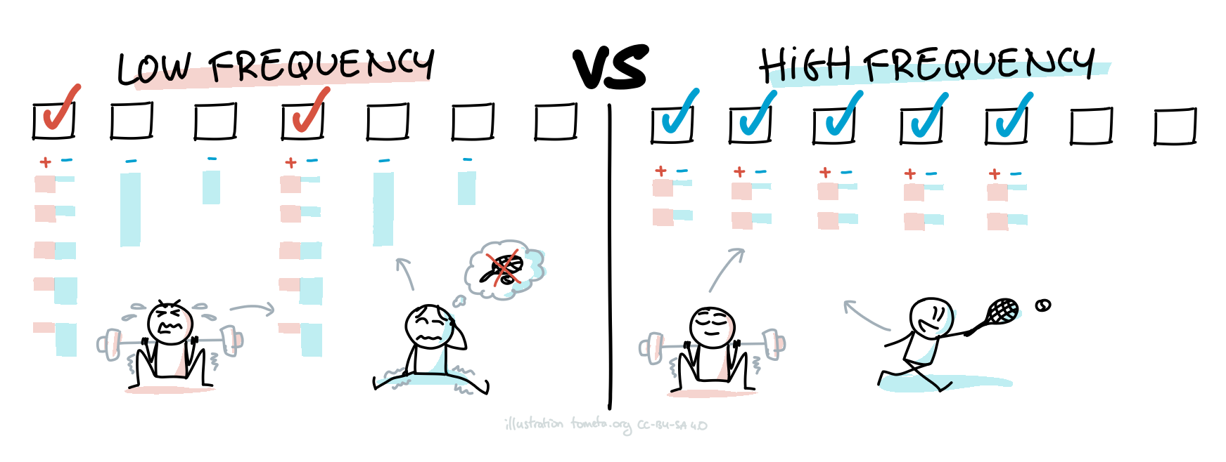 Exercise physiology illustrated