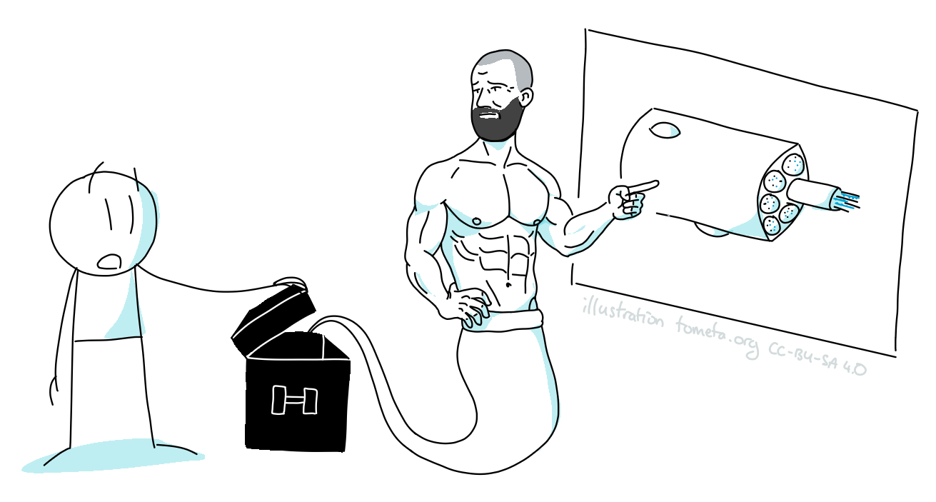 Exercise physiology illustrated