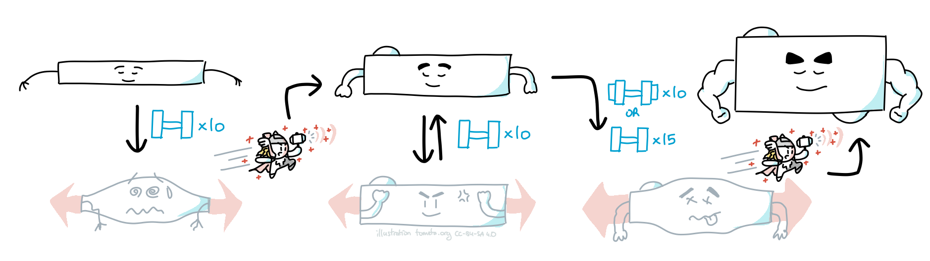 Exercise physiology illustrated